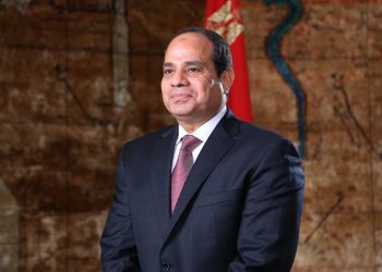 Sisi heads for Dubai to partake in COP28