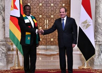Sisi, Zimbabwean president reaffirm keenness on boosting ties