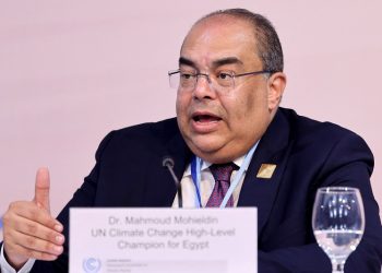 Egypt’s climate champion: Climate action needs $2.4 trillion