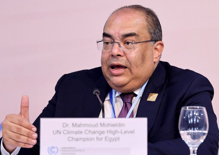 Mahmoud Mohieldin