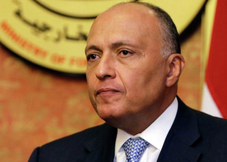 FM heads to Eritrea to convey Sisi’s message to Afwerki 1 - Egyptian Gazette