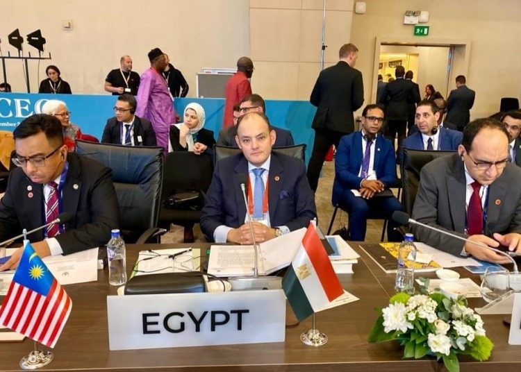 Trade minister participates in COMCEC's meetings in Istanbul 1 - Egyptian Gazette