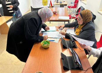 Egyptian expats continue casting ballots abroad in presidential election
