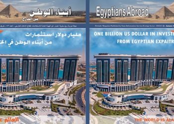 State making great efforts to connect Egyptian expats with homeland