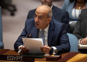 Egypt’s envoy to UN: Arab group agree to continue support for Palestinians