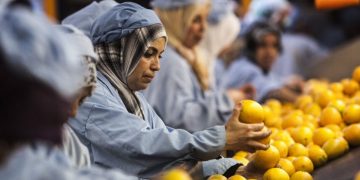 Egypt’s food industry exports hit record highs reaching $4.3 bn in first ten months of 2023