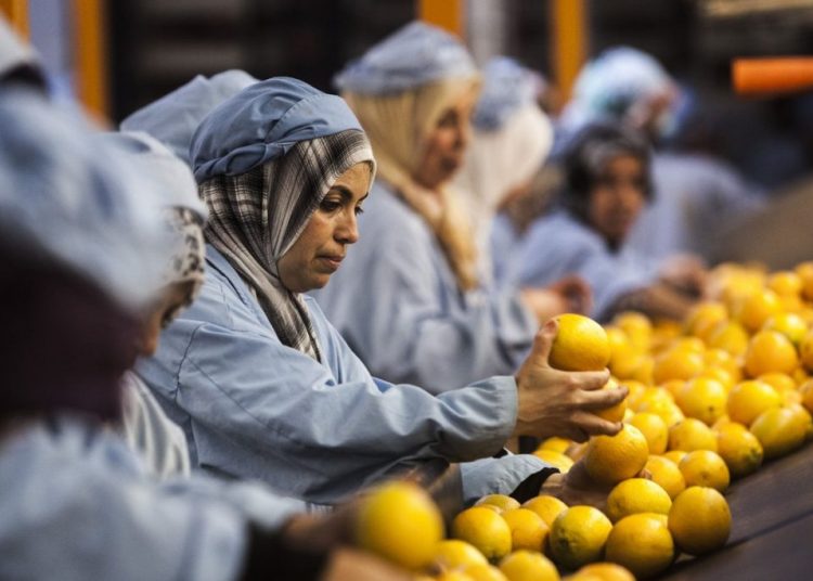 Egypt's food industry exports hit record highs reaching $4.3 bn in first ten months of 2023 2 - Egyptian Gazette Egypt's food industry exports hit record highs reaching $4.3 bn in first ten months of 2023 1 - Egyptian Gazette