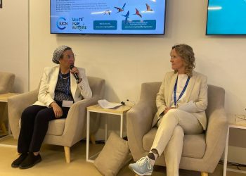 Egypt sought to integrate climate change with biodiversity, desertification at COP27: Environment min.