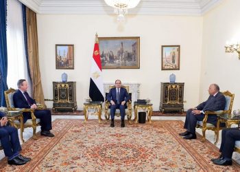 Egypt, UK discuss bilateral relations, regional developments