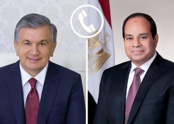Sisi, Uzbek president agree to expand cooperation