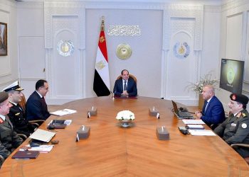 President reviews progress ofGargoub development project northwest Egypt