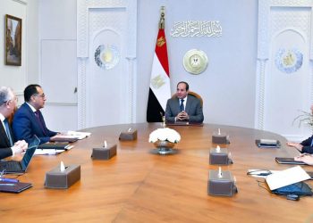 Sisi directs govt to continue efforts for developing lakes nationwide