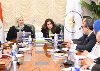 Emigration, social solidarity ministers probe emergency fund for Egyptians abroad