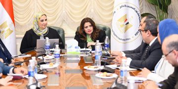 Emigration, social solidarity ministers probe emergency fund for Egyptians abroad