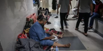 WHO warns about spread of contagious diseases in Gaza 1 - Egyptian Gazette WHO warns about spread of contagious diseases in Gaza