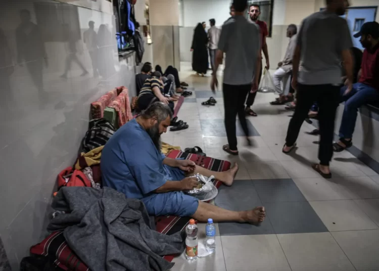 WHO warns about spread of contagious diseases in Gaza 1 - Egyptian Gazette