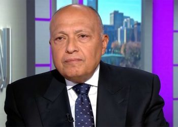 Egypt’s FM: Forced displacement of Gazans violates int’l humanitarian law