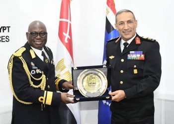 Egypt seeks to boost defence, military co-operation with world countries