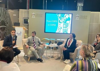 Fouad: Egypt keen on encouraging private sector contribution to renewable energy production