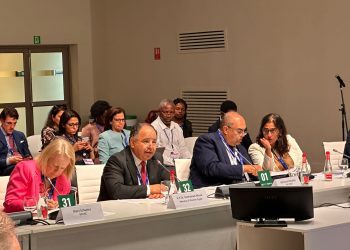 Egypt working to achieve continental integration to face external shocks