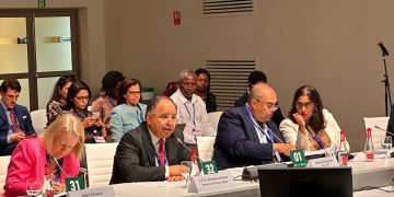 Egypt working to achieve continental integration to face external shocks