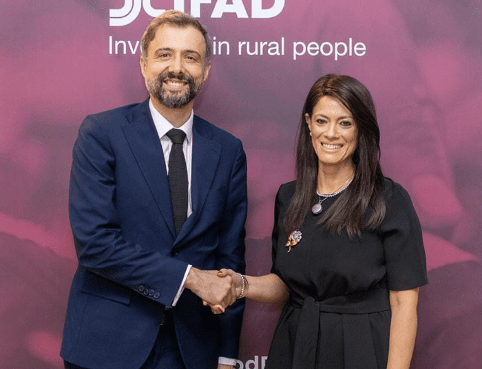 Int'l financial institutions promote for partnership with Egypt in "NWFE" at COP28 1 - Egyptian Gazette