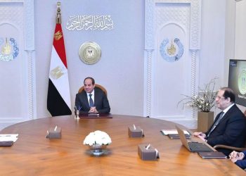 Sisi: Co-operation with Nile basin countries is key constant of joint Egyptian-African action