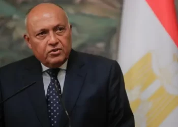 Shoukry, Cameron hold talks in Cairo