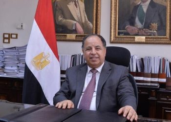 ‘Egypt released imported goods valued at $72.4b’