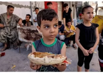 UNICEF: 80% of children in Gaza experiencing severe food poverty