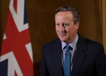 Cameron thanks Egypt for providing assistance to Gaza