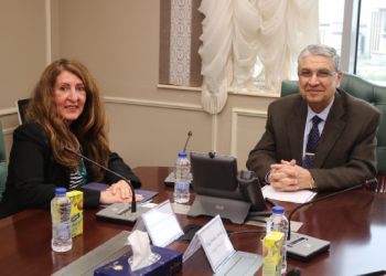 Electricity min., US amb. probe boosting investments