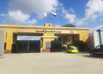 Egypt working to step up humanitarian support to Gaza