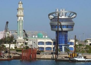 43 container ships, cargo vessels handled at Damietta Port