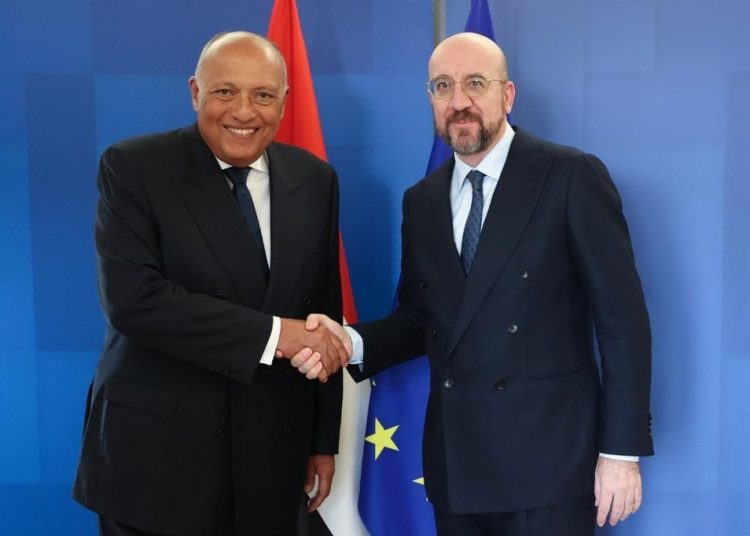 Egypt, Europe chart path for flourishing partnership 2 - Egyptian Gazette Egypt, Europe chart path for flourishing partnership 1 - Egyptian Gazette