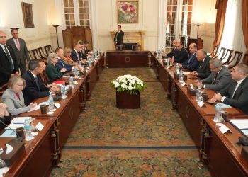 Shoukry to US delegation: Egypt fully rejects forced displacement of Palestinians