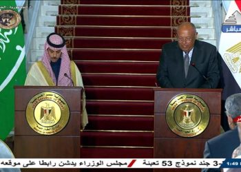Shoukry, Saudi counterpart co-chair follow-up, political consultations committee