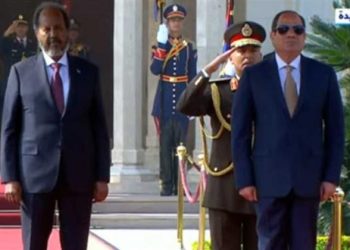 Sisi receives his Somali counterpart at Ittihadiya Palace