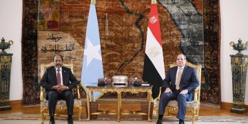 Sisi: Egypt not to tolerate any threat to Somalia