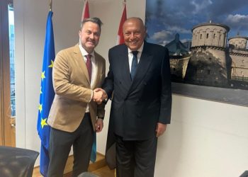 FM reiterates total rejection of Israeli calls to displace Palestinians from Gaza to Egypt