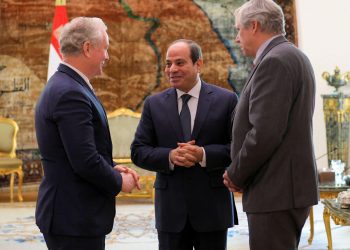 Sisi asserts necessity of ceasefire in Gaza