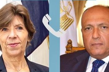Egypt categorically rejects Palestinians’ exit from their lands: FM to French counterpart