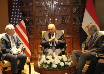 Shokry urges comprehensive ceasefire in Gaza