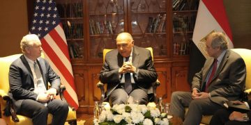 Shokry urges comprehensive ceasefire in Gaza