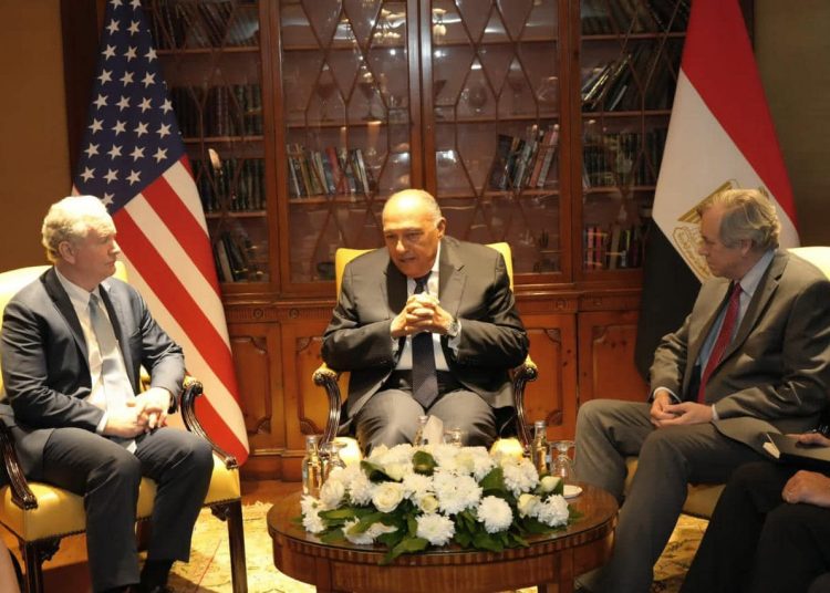 Shokry urges comprehensive ceasefire in Gaza 1 - Egyptian Gazette