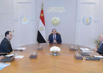 President directs gov’t to increase investments in Africa