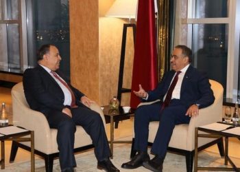 Finance min.: Egypt keen on enhancing financial, tax, customs cooperation with Qatar