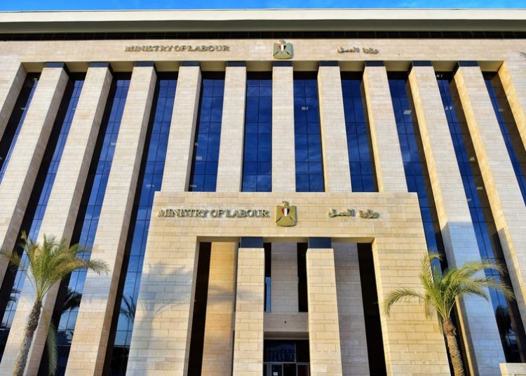 Manpower minister announces launch of vocational test programme between Egypt, S. Arabia 1 - Egyptian Gazette