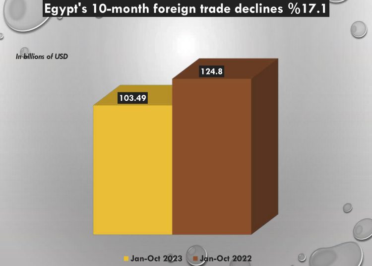 Egypt’s revenues from car taxes jump 46% 1 - Egyptian Gazette