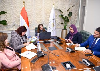 Gendi: State keen on establishing base for Egyptian expats